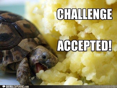 Best. Challenge. Ever.