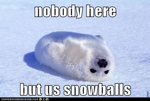 Adorable, Adorable Snowballs