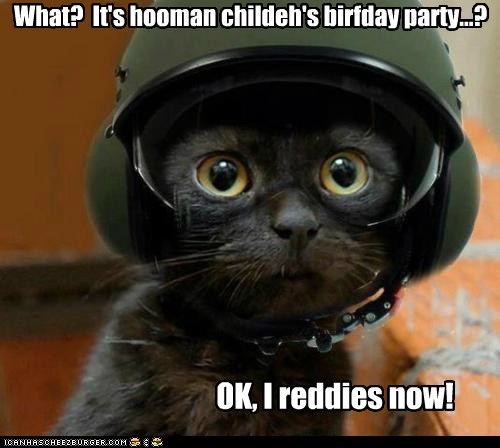 Lolcats: Thank Ceiling Cat for Protective Helmuts!