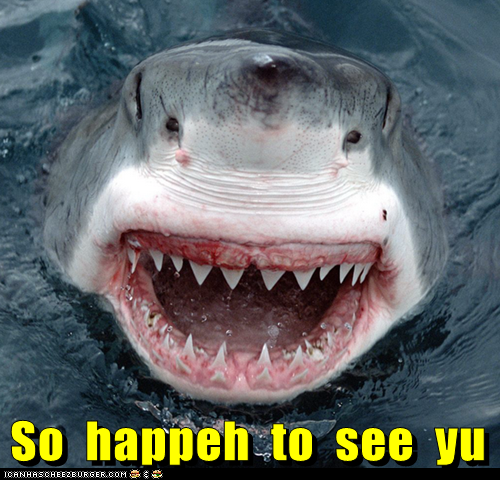 You Seem Less Happy to See Me
