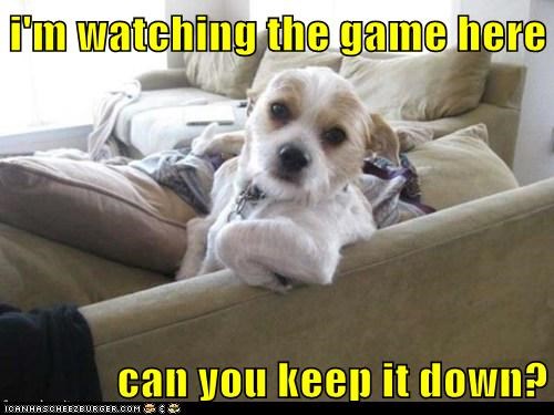 I'm Trying to Watch The Game! 