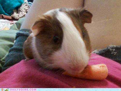 Reader Squee: Snack Time