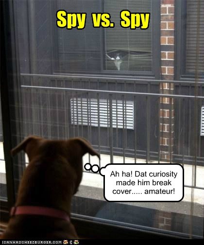 Spy  vs.  Spy