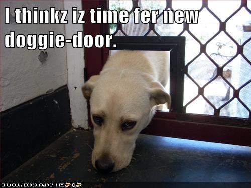 Iz all growed up now