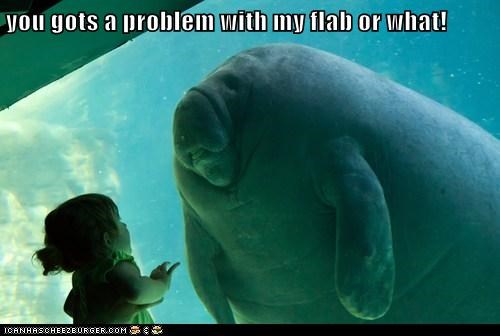 you gots a problem with my flab or what!