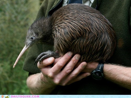 Squee Spree: Take a Bow!