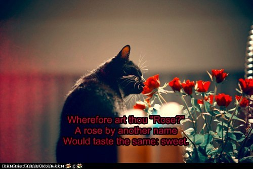 Un-Shakespeare Haiku