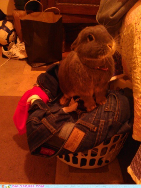 Reader Squee: Dirty Laundry