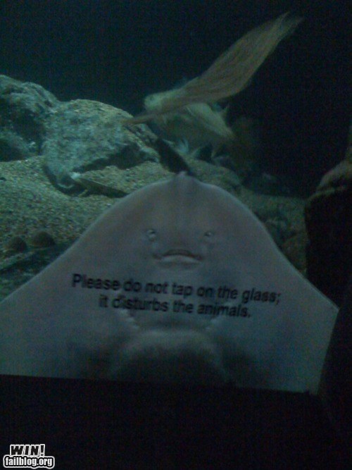 At the Aquarium WIN