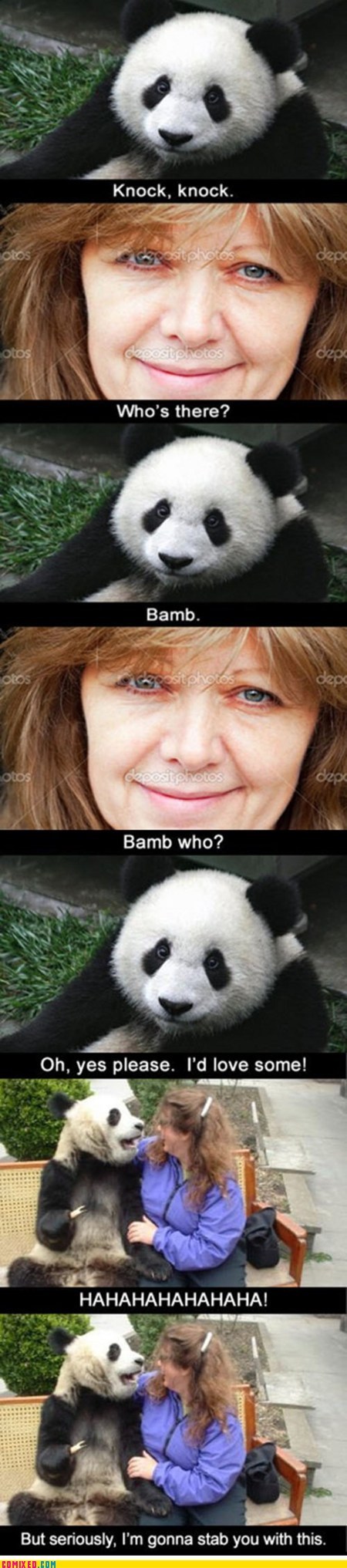 Never Trust a Joke Telling Animal