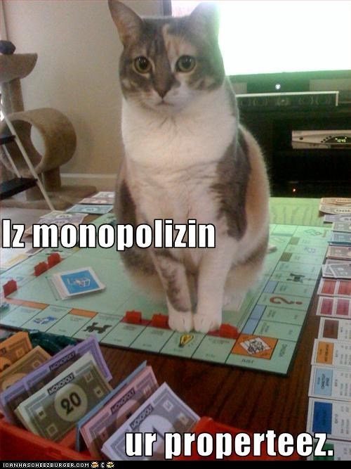 Classic LOLcat