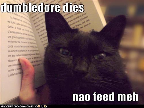 Classic LOLcat
