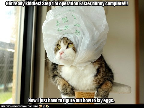 Get ready kiddies! Step 1 of operation Easter bunny complete!!!
