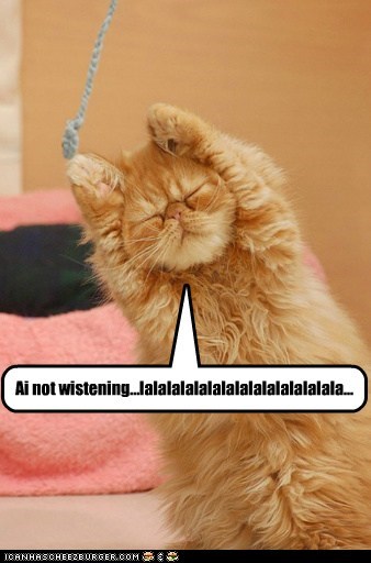 Lolcats: Ai not wistening...