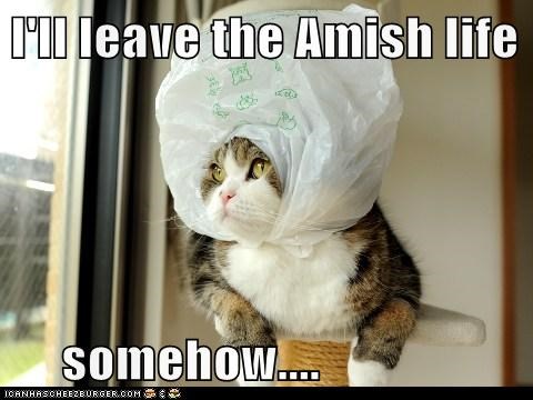I'll leave the Amish life       somehow....