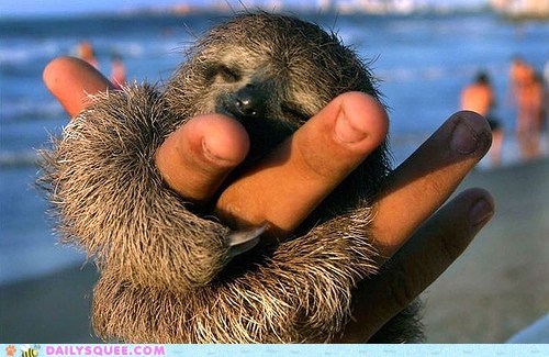 I Wanna Hold Your Hand 