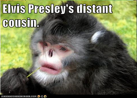 Elvis Presley's distant cousin.