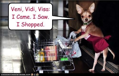 Veni, Vidi, Visa: I Came. I Saw.  I Shopped.