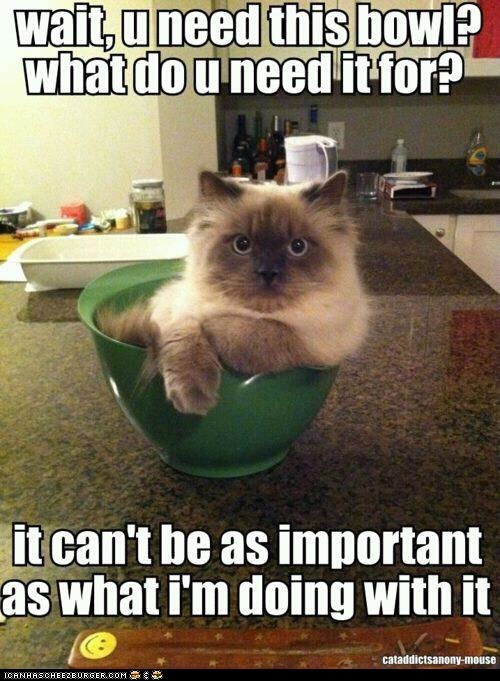 What's More Important Than Sitting?