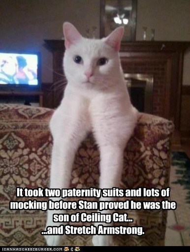 It took two paternity suits and lots of mocking before Stan proved he was the son of Ceiling Cat... ...and Stretch Armstrong.