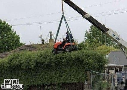 Mowing WIN