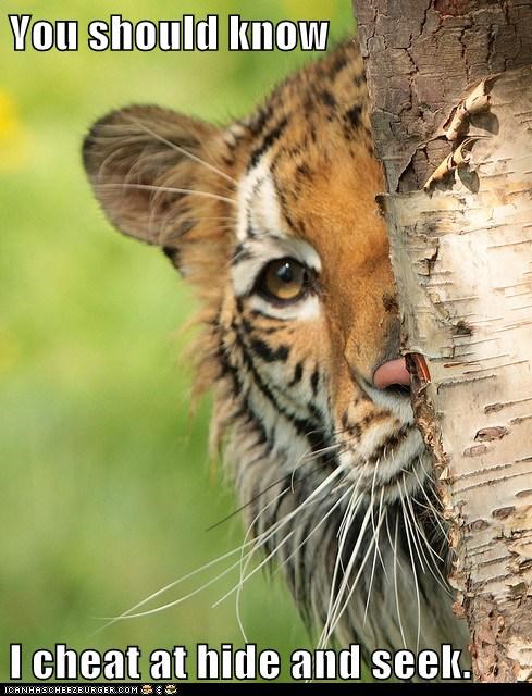 Tigers Can't Count to 20