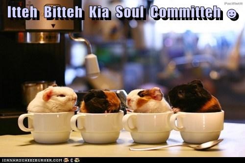 Itteh  Bitteh  Kia  Soul  Committeh ☻