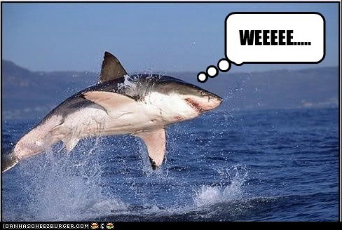 Sharky says