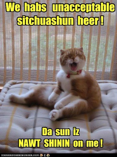 Lolcats: Fix dat, ASAP!