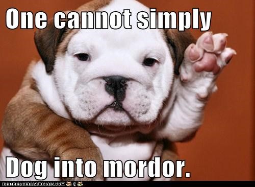 One cannot simply  Dog into mordor.