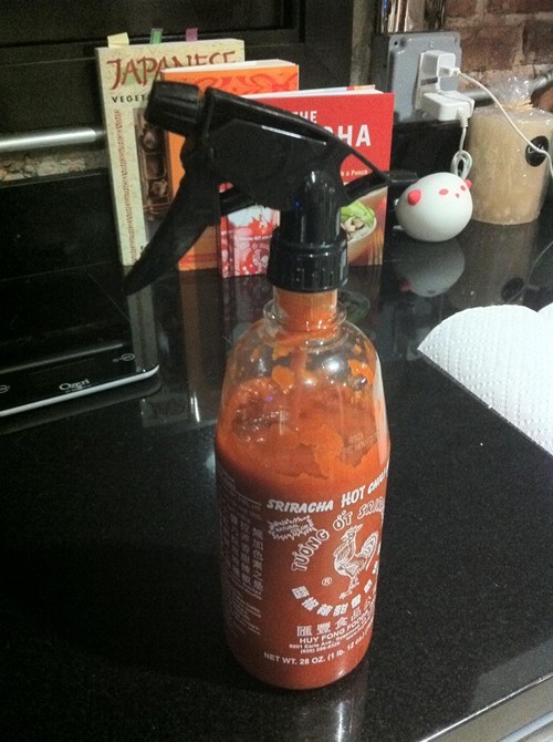 Sprayracha: Seasoning and Weapon