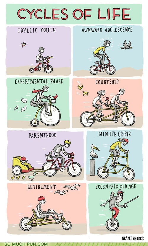 The Cycles of Life
