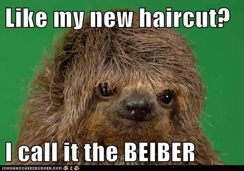 Like my new haircut?  I call it the BEIBER