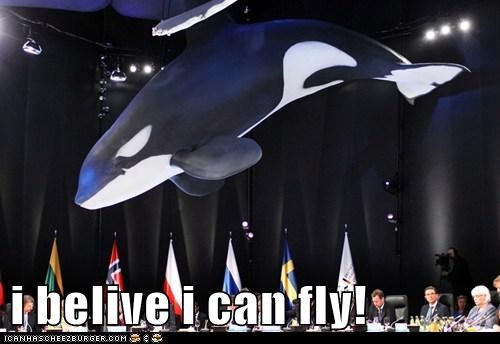 i belive i can fly!