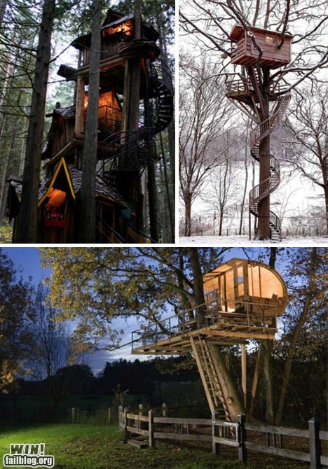 Tree Houses WIN