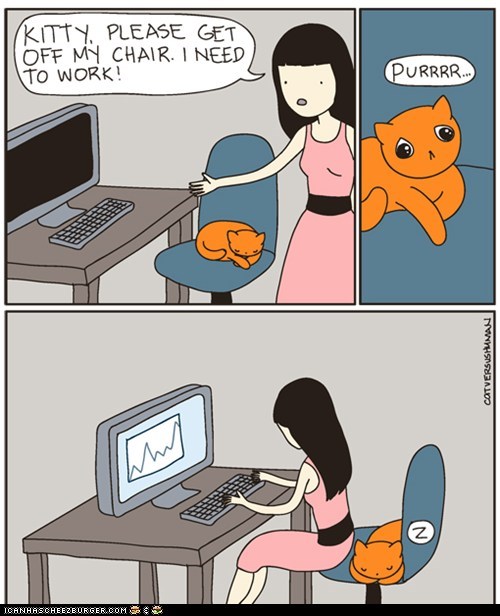 Better the Chair Than the Keyboard, I Say