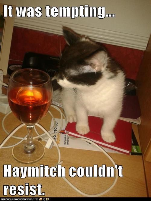 It was tempting...  Haymitch couldn't resist.