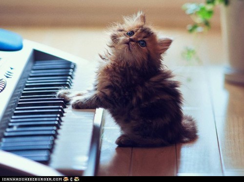 Cyoot Kitteh of teh Day: Let Me Play You the Song of My People