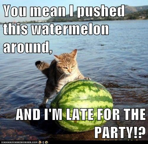 You mean I pushed this watermelon around,  AND I'M LATE FOR THE PARTY!?