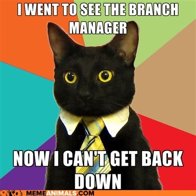Animal Memes: Business Cat - Call Building Maintenance?
