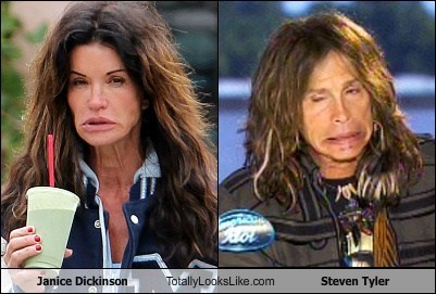 Janice Dickinson Totally Looks Like Steven Tyler