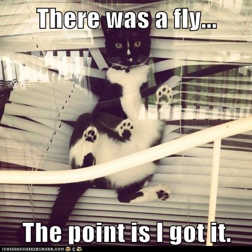 There was a fly...  