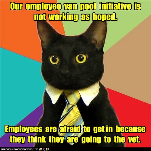 Animal Memes: Business Cat - They Won't Even Get in Their Crates