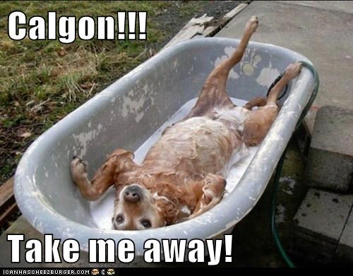 Calgon!!!  Take me away!