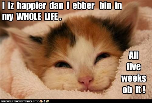 I  iz  happier  dan  I  ebber   bin  in  my  WHOLE  LIFE .