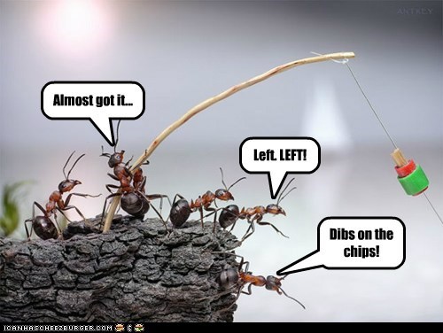 The Ants at the Park are Getting Crafty
