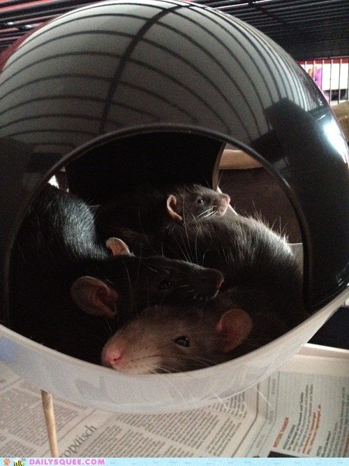 Reader Squee: Snuggled up