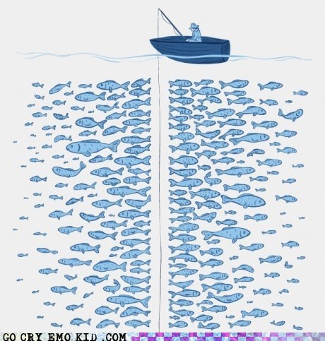 Plendy of Fish, They Said...