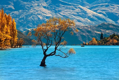 Lake Wanaka, New Zealand