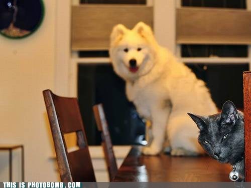 You Don't Want to See What Happens Next